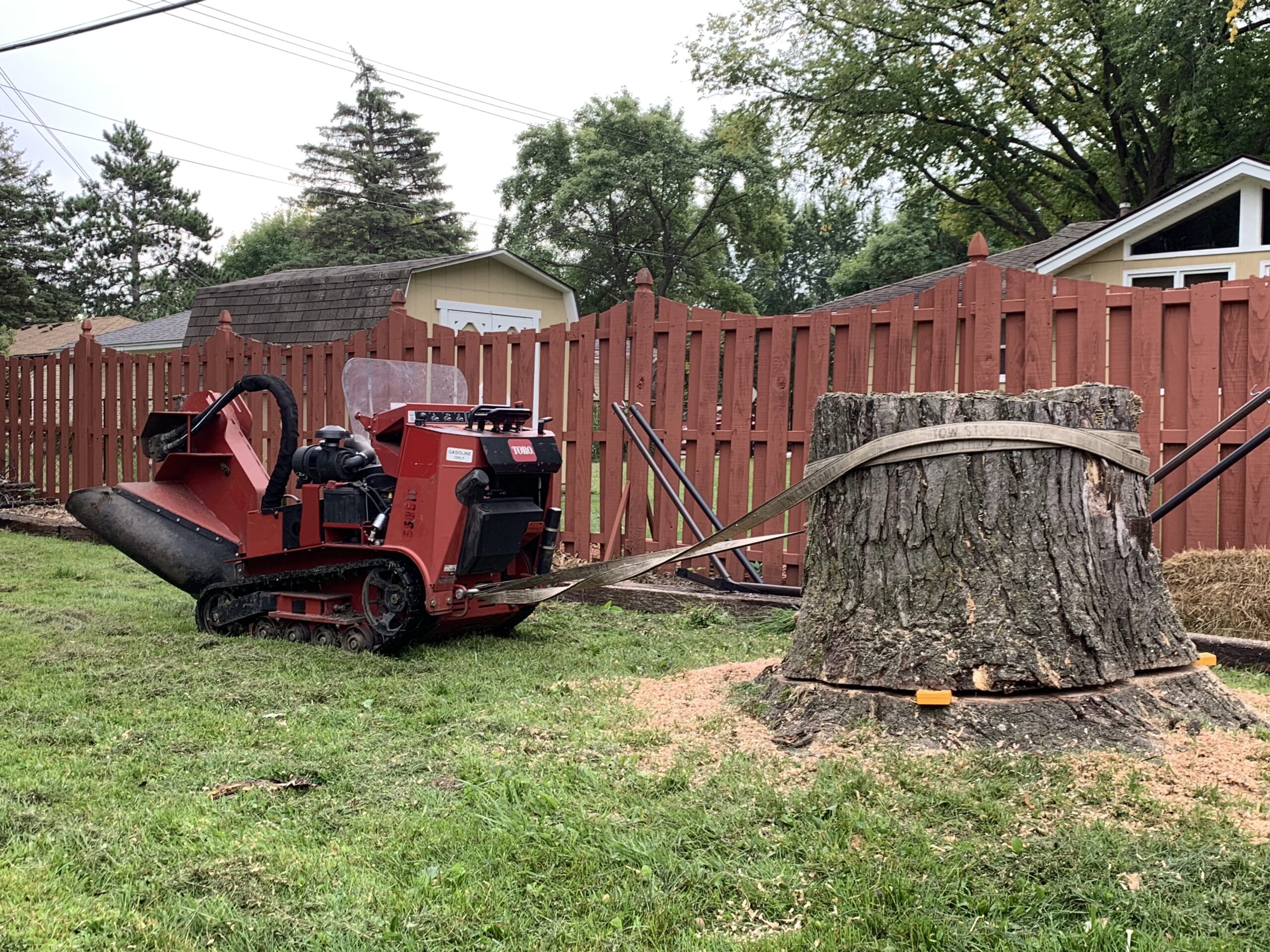 red machine pulling over a large tree stump in yard - best stump grinder