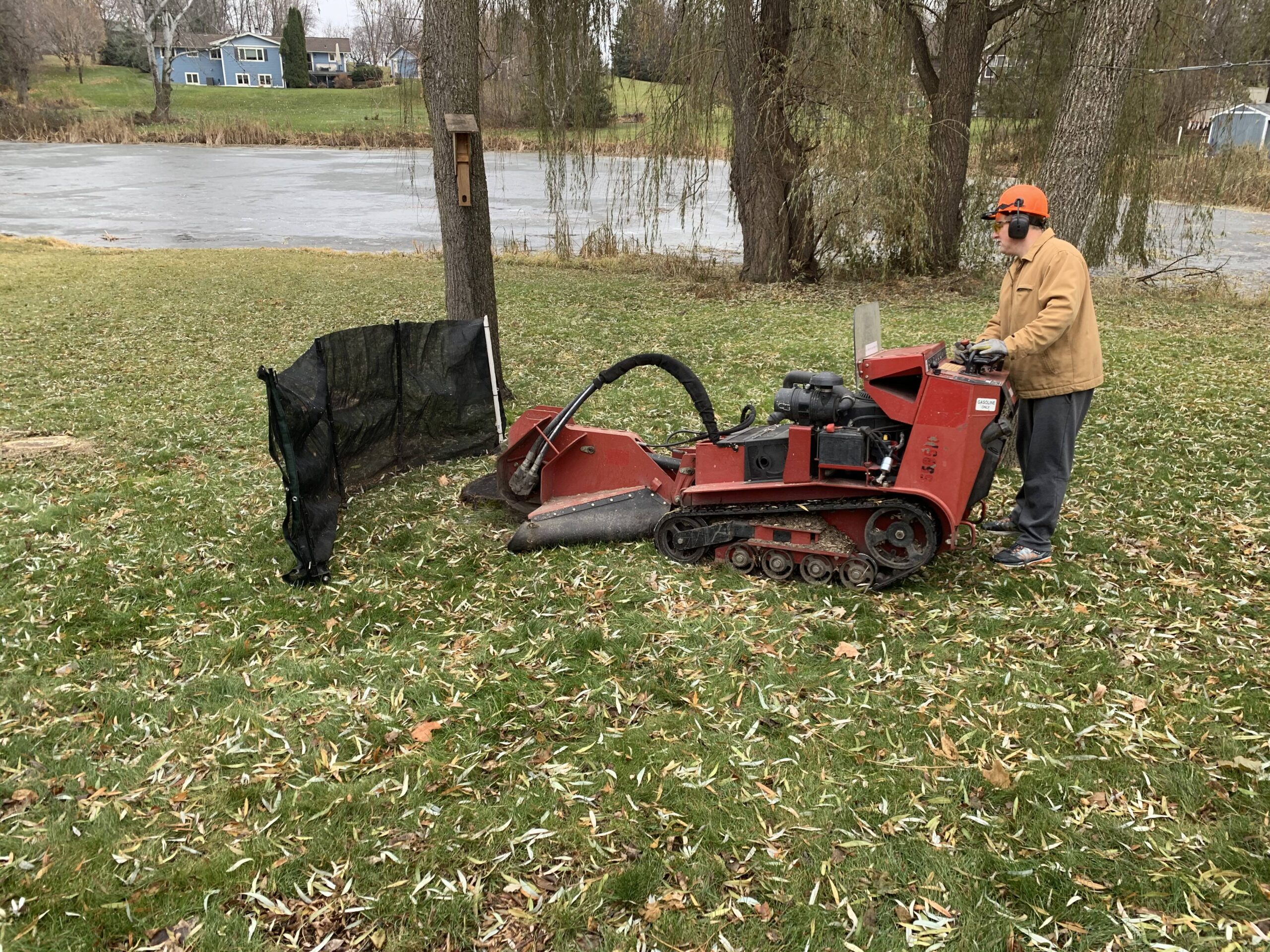 man operating red machine in yard - stump grinders near me