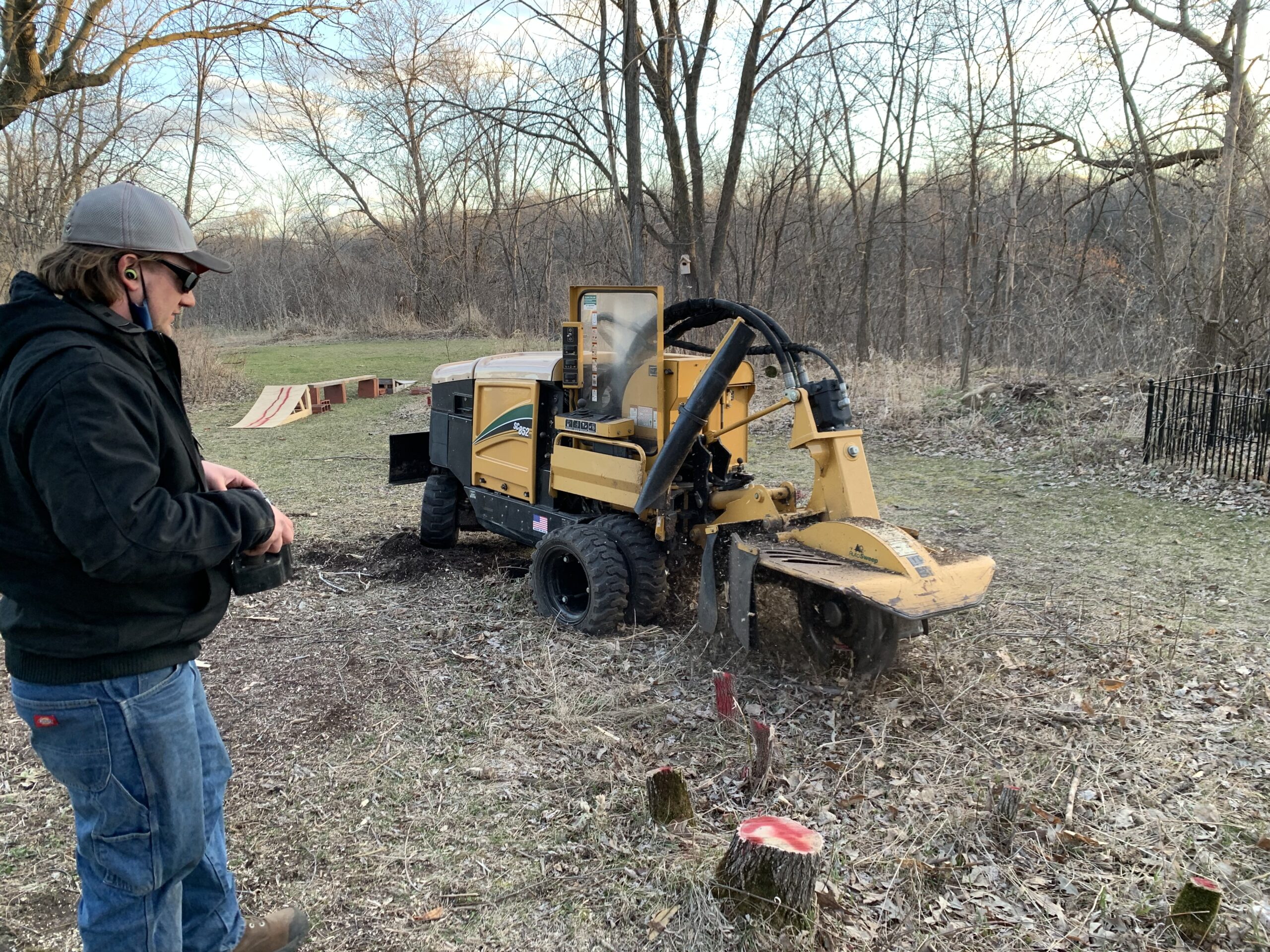 a man next to yellow tree stump grinder machine - stump grinding services