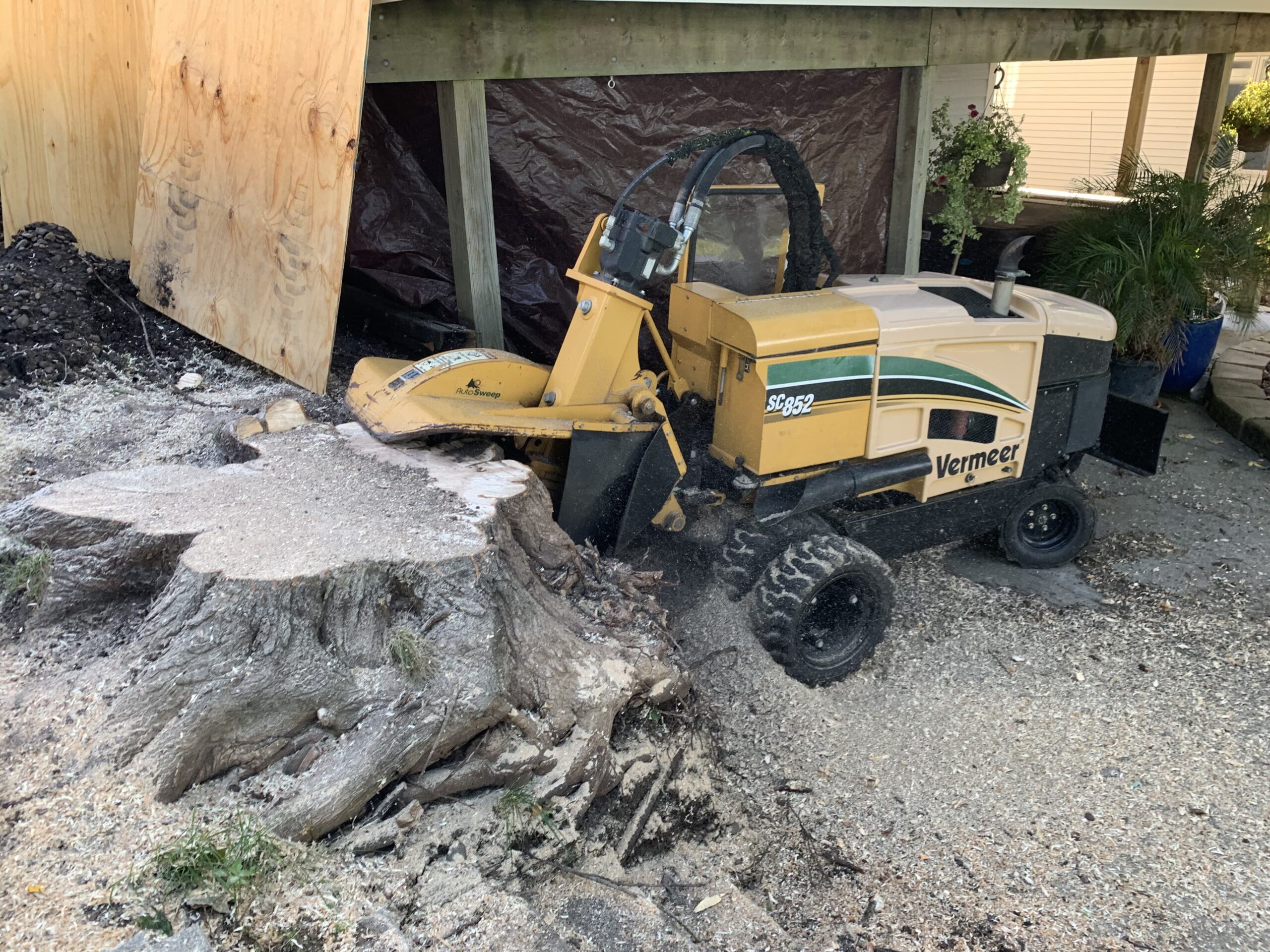 yellow tree stump grinding machine - commercial stump grinder