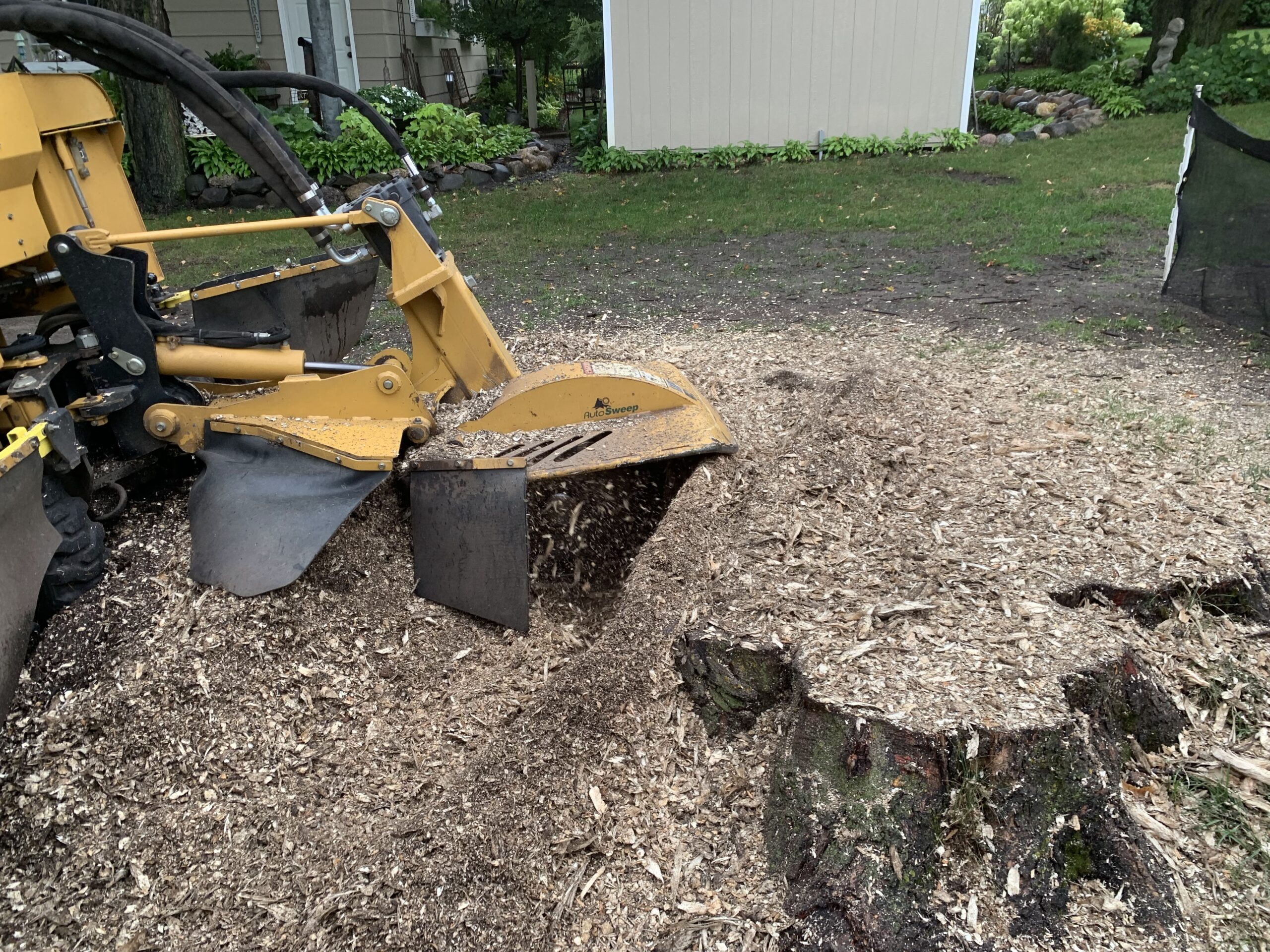 large yellow machine grinding down a stump - tree root removal machine